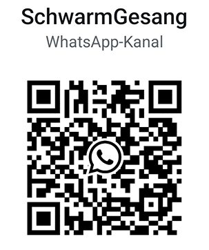 WhatsApp Kanal